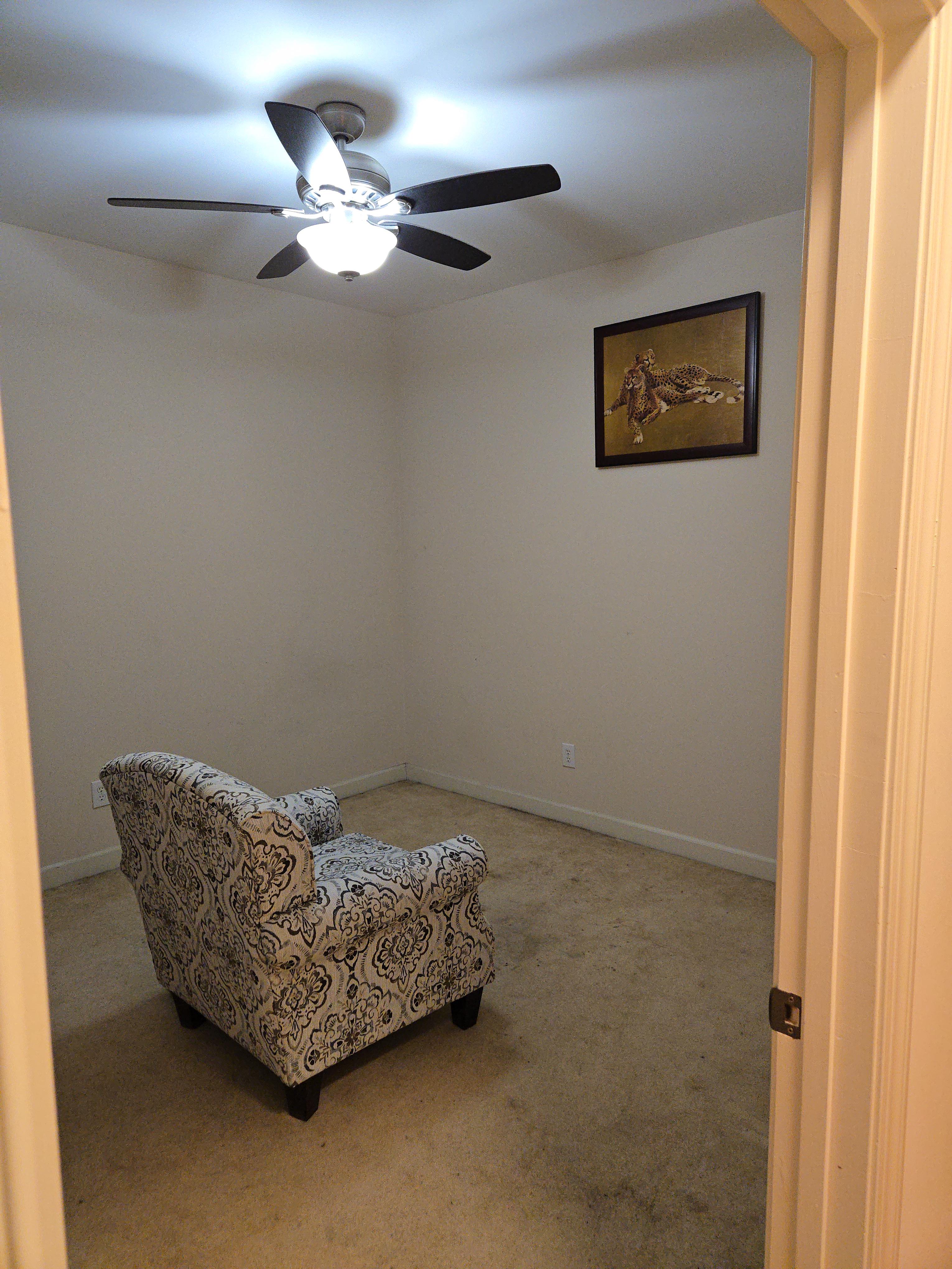 male living spaces cheetah room